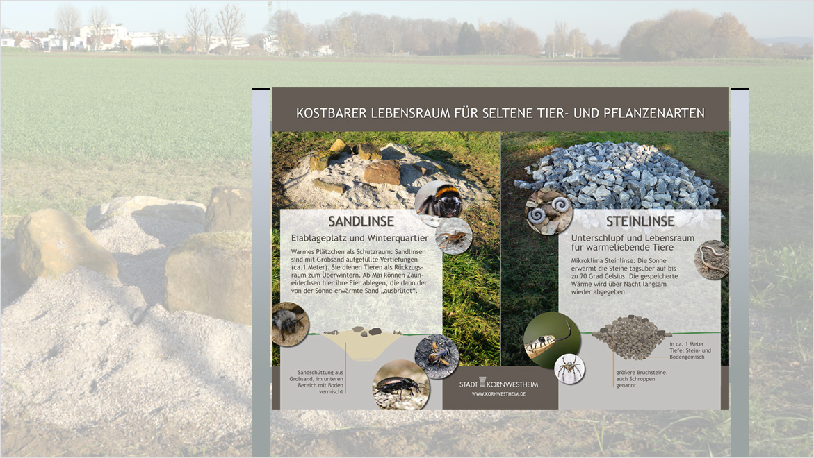 Infotafel zur Erklärung von Sand- und Steinlinsen